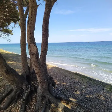 Lägenhet Dans Avec Piscines Santa-Maria-Poggio (Corsica)