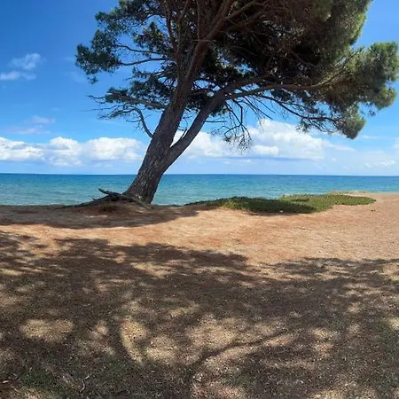 Dans Avec Piscines