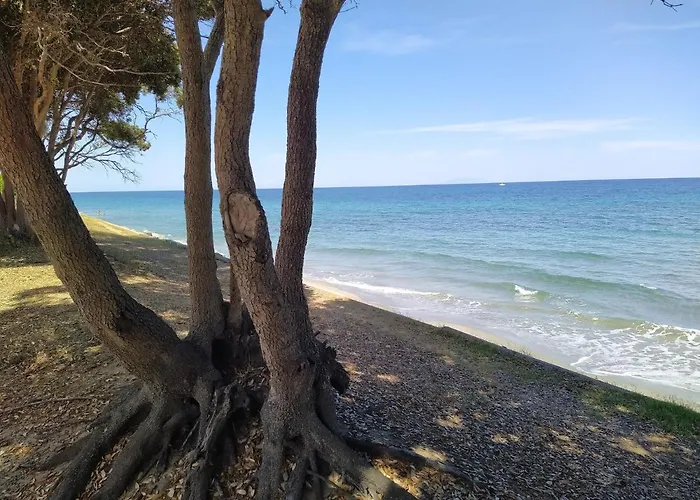 Appartement Dans Résidence Avec Piscines Santa-Maria-Poggio (Corsica)