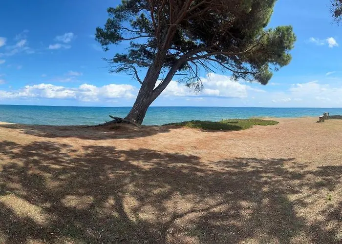 Dans Résidence Avec Piscines
